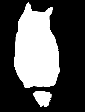 The corrected binary subject mask used for the owl