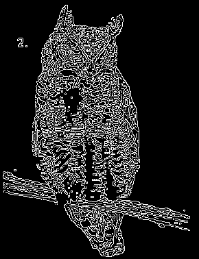 Detected edges in the owl source image